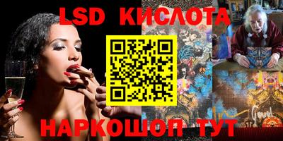 молекула духа Кулебаки