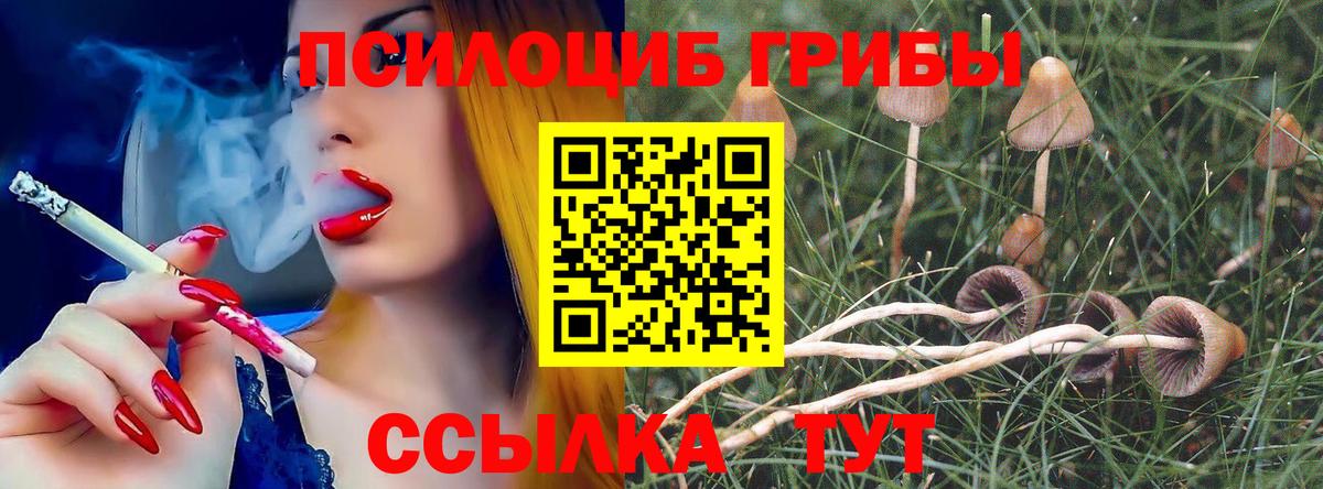 Галлюциногенные грибы прущие грибы Урай